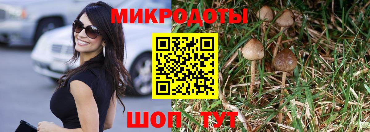 Псилоцибиновые грибы ЛСД Вольск