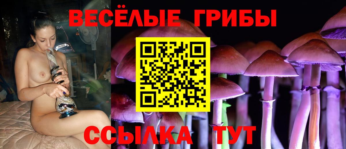 Псилоцибиновые грибы мухоморы  Вход с VPN  Вольск 